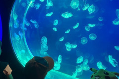 IMG-20250613-WA0017