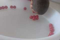 IMG-20260921-WA0004