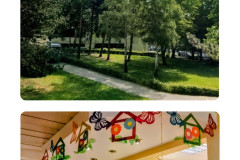 20260519_121009-COLLAGE