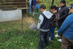 IMG-20260914-WA0007