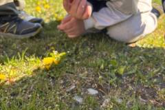 83c32f7c-99f6-4935-ae3c-2d3dc4dc3a31