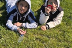 8711e13a-4243-43b5-bdff-3ce20f7448fd