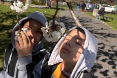 c86d4ced-a010-4eac-926f-6aa46675a1cf