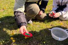 d3b77939-1f5d-4bed-bd25-d1ea7441b59f