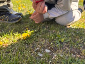 Výprava I.třídy do života hmyzu.